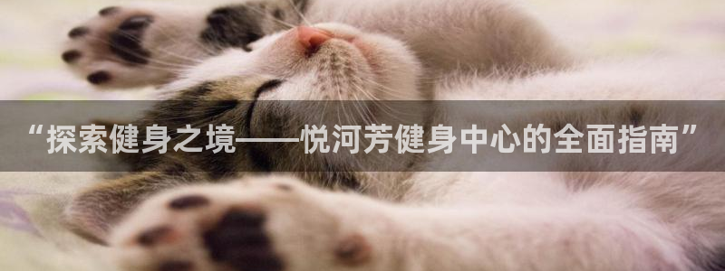 意昂2娱乐