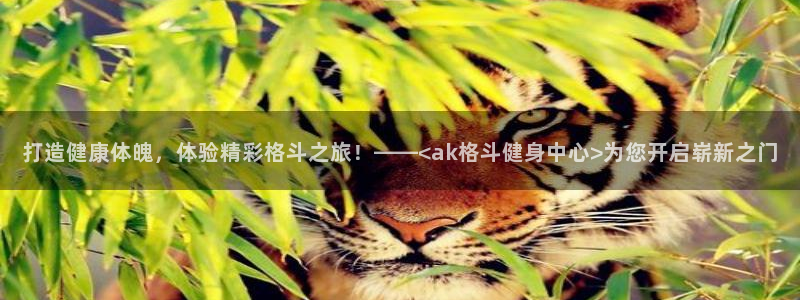 意昂2注册