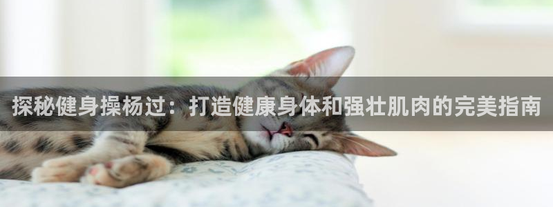 意昂2官方网站