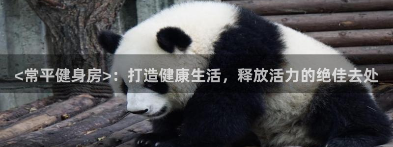 意昂2官方网站