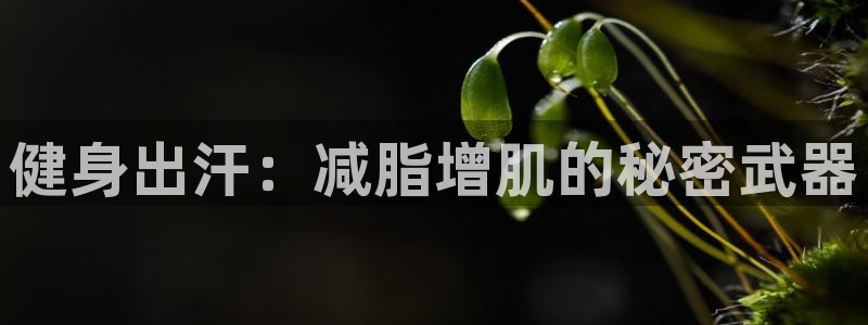 意昂2官方网站