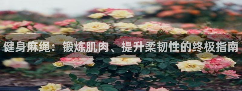 意昂2官方网站
