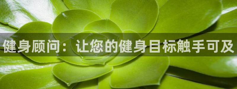 意昂2官网