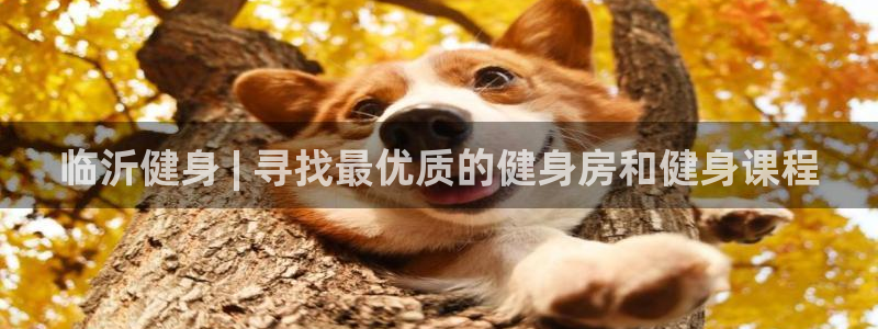 意昂2娱乐