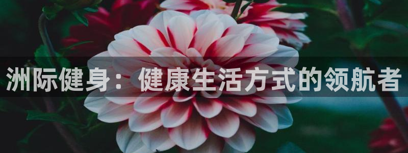 意昂2代理