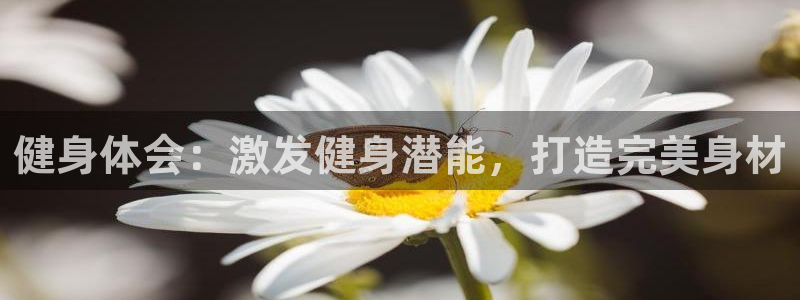 意昂2平台