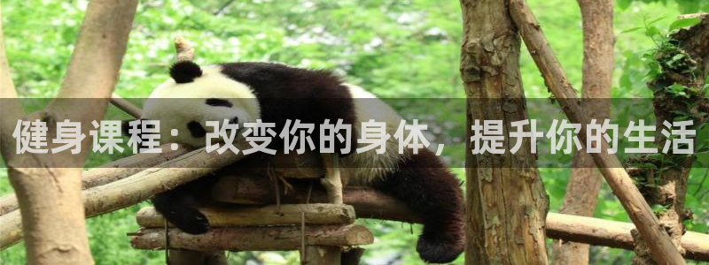 意昂2登录